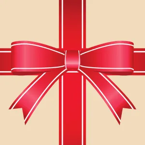 Bash Baby Clothing Gift Card